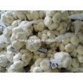 export high top quality small packing 5P Chinese Fresh Garlic product normal white